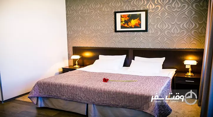 هتل ماتیسوو دامیک سنت پترزبورگ